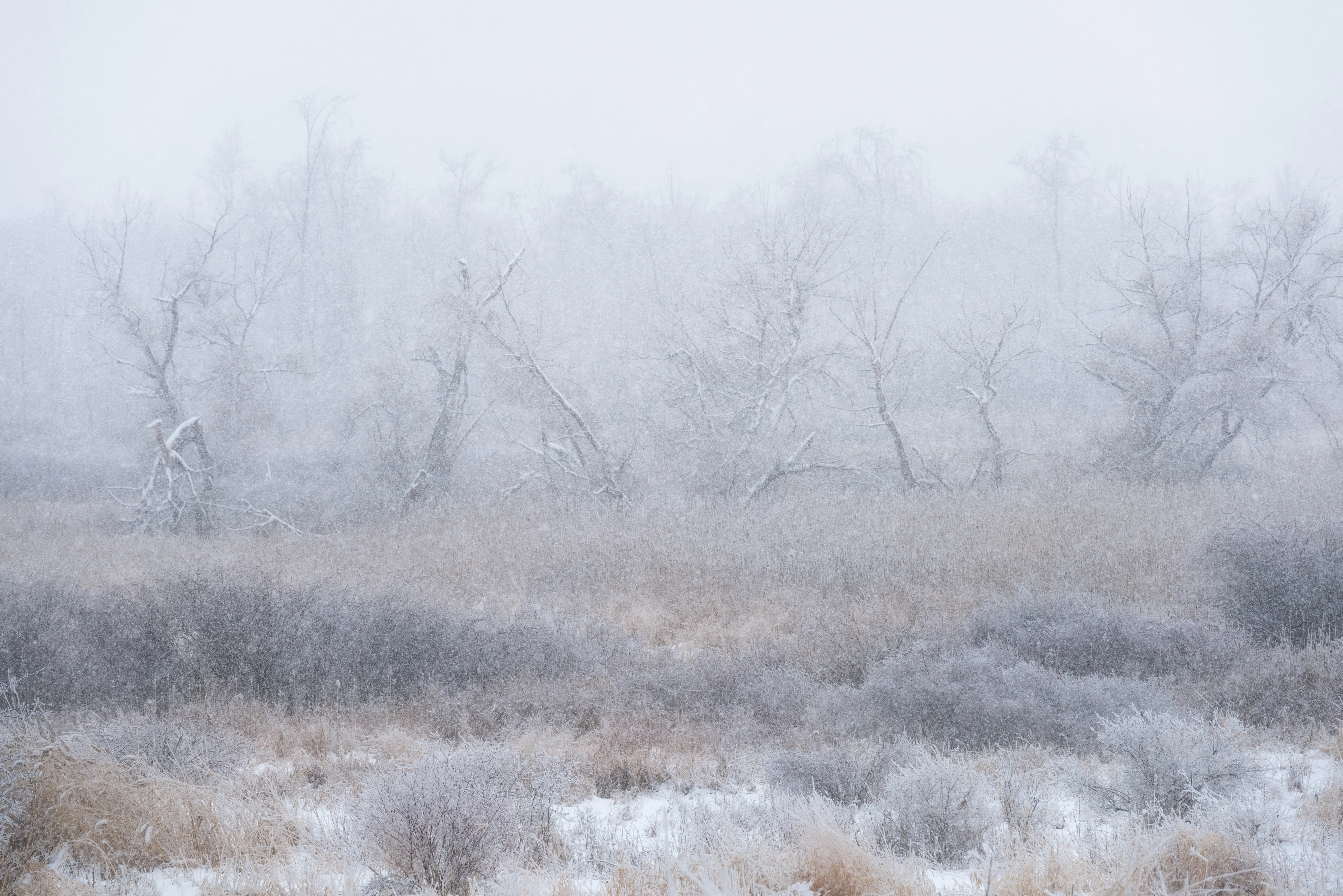 Winter landscape photographed by Calum Murray
